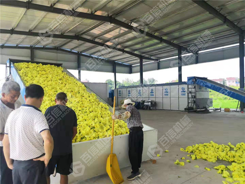 莒南黃蜀葵烘干機